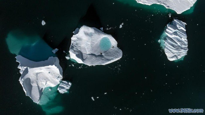 ANTARCTICA - FEBRUARY 24: An aerial view of crabeater seals laying on ice berg on Horseshoe Island as Turkish scientists conduct fieldwork on Horseshoe Island within 7th National Antarctic Science Expedition under the coordination of the Scientific and Technological Research Council of Turkiye (TUBITAK) MAM Polar Research Institute with the joint responsibilities of the Turkish Presidency and Turkish Ministry of Industry and Technology in Antarctica, on February 24, 2023. Turkish Scientists, left a minimum footprint on Antarctica, 